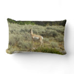 Pronghorn at Grand Teton National Park Lumbar Pillow