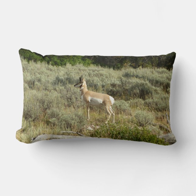 Pronghorn at Grand Teton National Park Lumbar Pillow (Front)