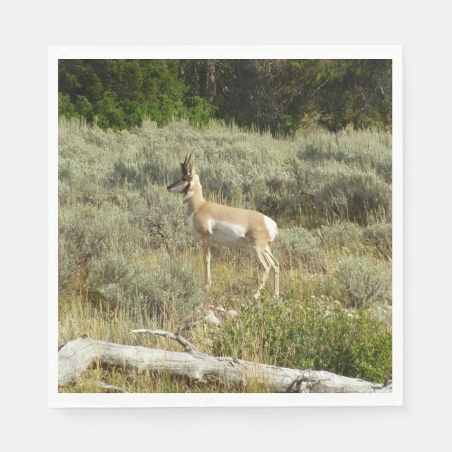 Pronghorn at Grand Teton National Park Napkins (Front)