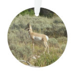 Pronghorn at Grand Teton National Park Ornament