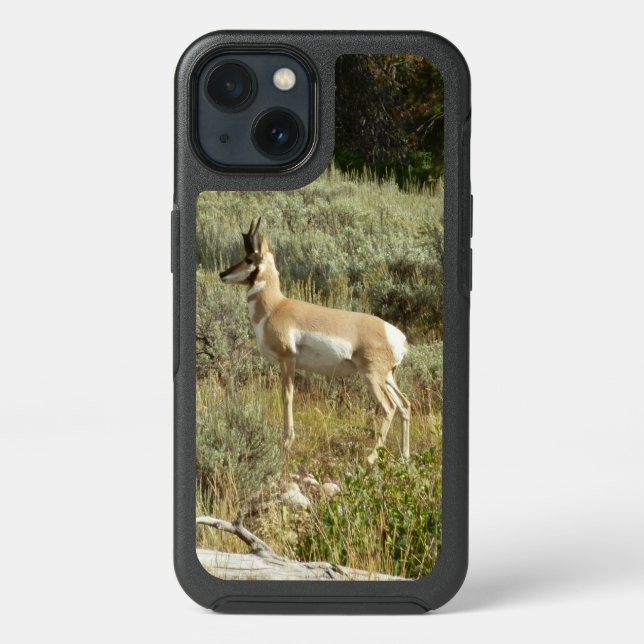 Pronghorn at Grand Teton National Park Otterbox iPhone Case (Back)