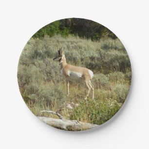 Pronghorn at Grand Teton National Park Paper Plates