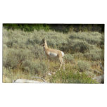 Pronghorn at Grand Teton National Park Place Card Holder