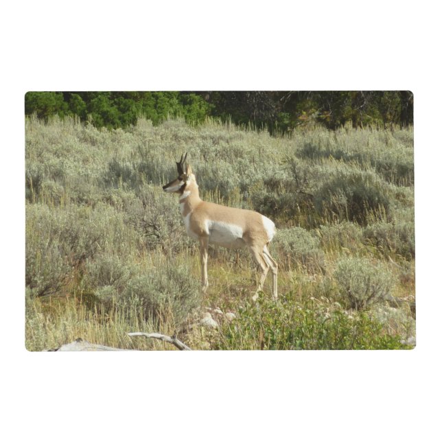 Pronghorn at Grand Teton National Park Placemat (Front)