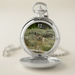 Pronghorn at Grand Teton National Park Pocket Watch
