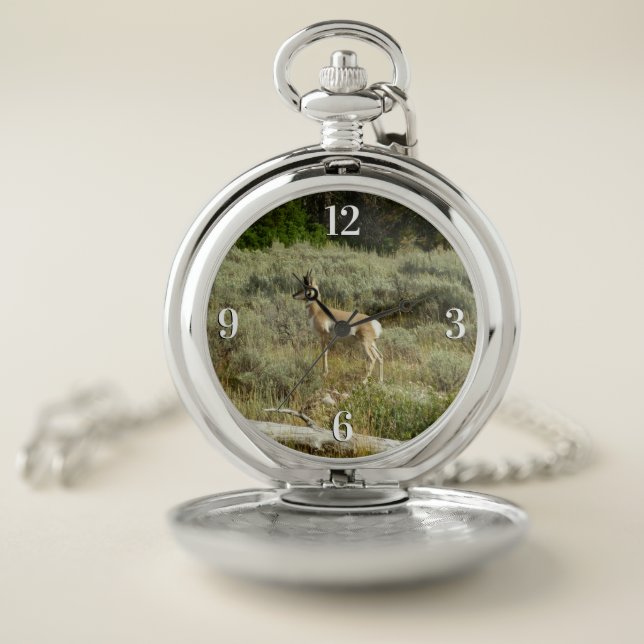 Pronghorn at Grand Teton National Park Pocket Watch (Inside)