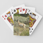 Pronghorn at Grand Teton National Park Poker Cards