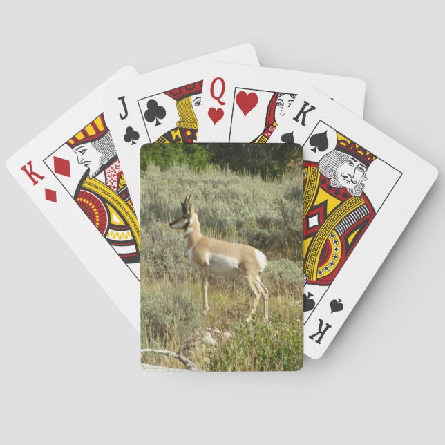 Pronghorn at Grand Teton National Park Poker Cards (Back)