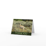 Pronghorn at Grand Teton National Park Thank You Card