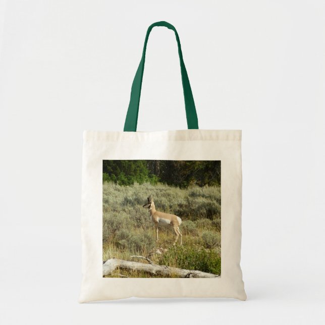 Pronghorn at Grand Teton National Park Tote Bag (Front)