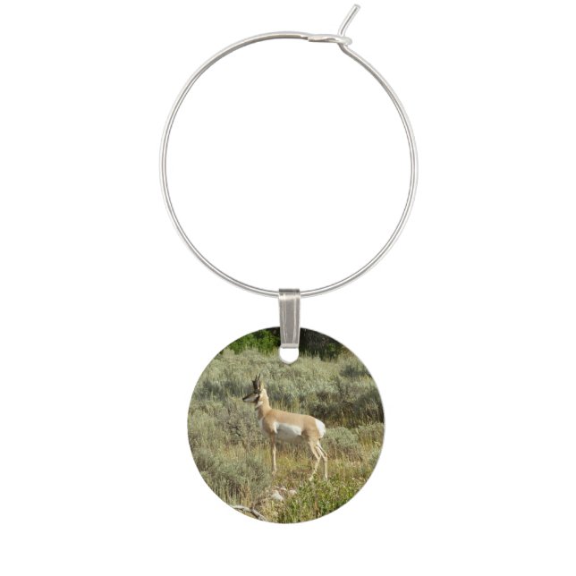 Pronghorn at Grand Teton National Park Wine Charm (Front)