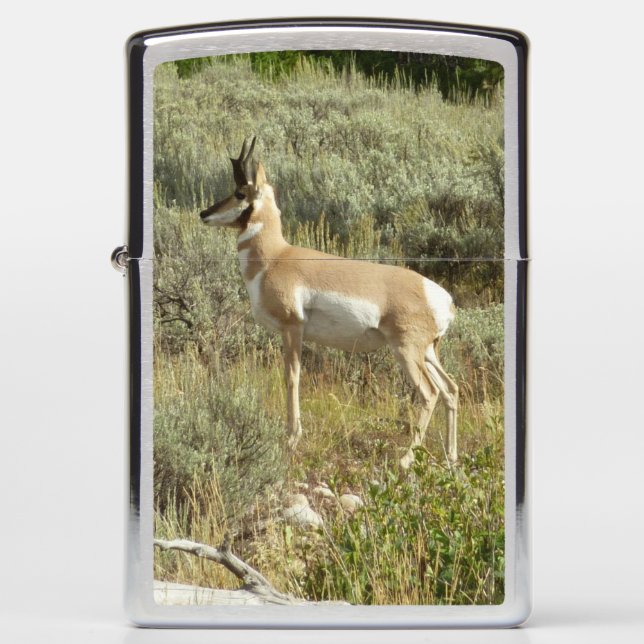 Pronghorn at Grand Teton National Park Zippo Lighter (Front)