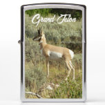 Pronghorn at Grand Teton National Park Zippo Lighter