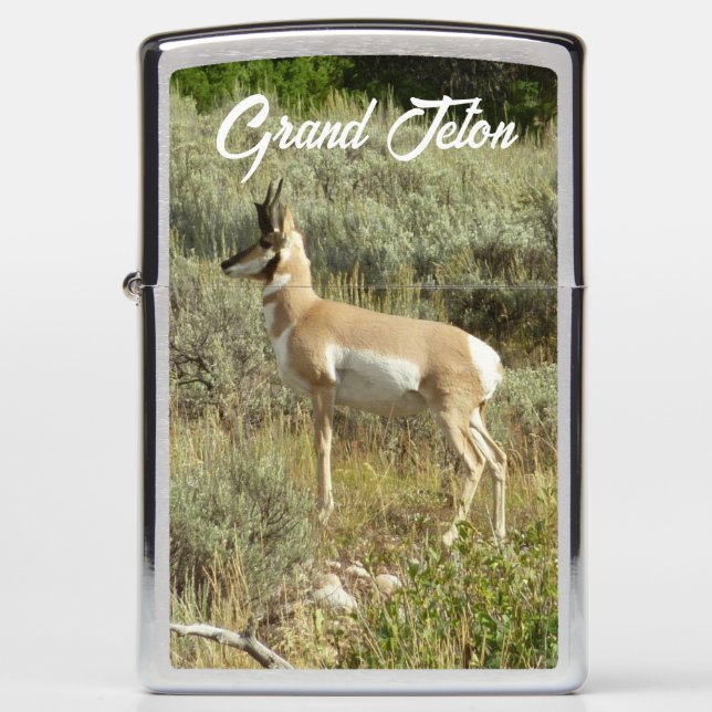 Pronghorn at Grand Teton National Park Zippo Lighter (Front)