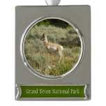 Pronghorn at Grand Teton Silver Plated Banner Ornament