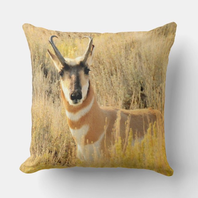 Pronghorn Buck Throw Pillow (Front)