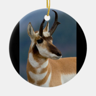 Pronghorn Portrait Ceramic Ornament