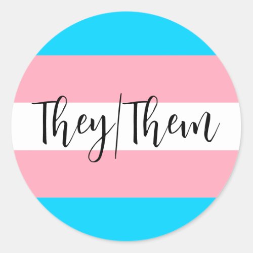 Pronoun theythem transgender gender queer pride c classic round sticker