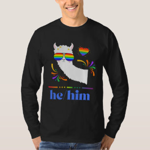 Pronouns He Him Gay Pride Rainbow Groovy Lllama Re T-Shirt