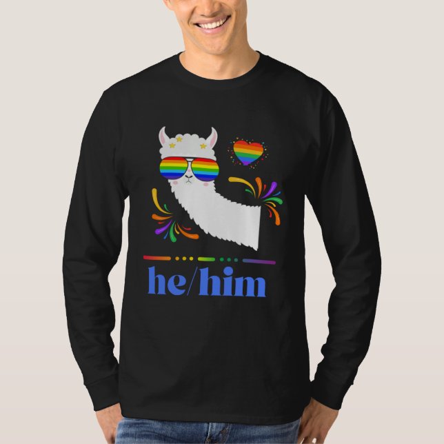Pronouns He Him Gay Pride Rainbow Groovy Lllama Re T-Shirt (Front)