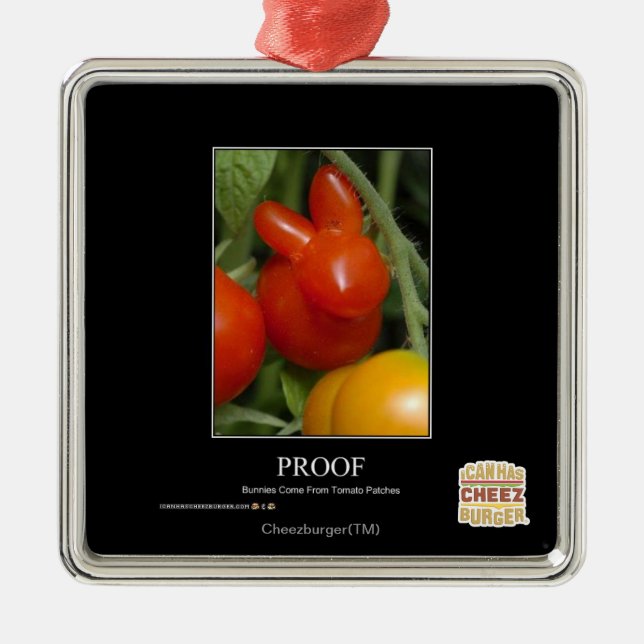 Proof Metal Ornament (Front)