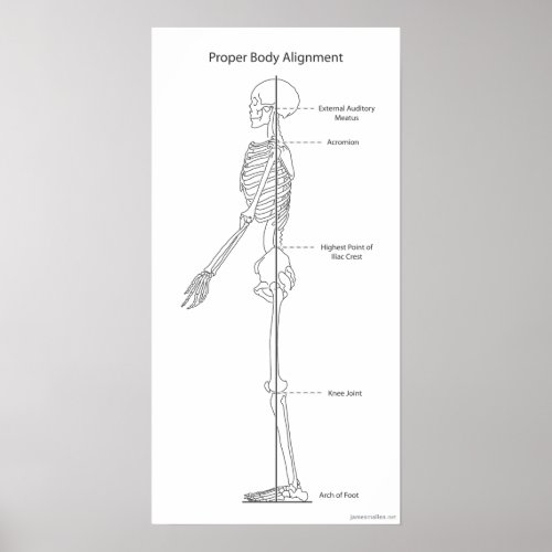 Proper Body Alignment Poster