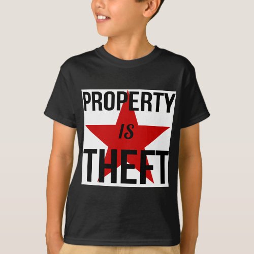 Property is Theft _ Anarchist Socialist Communist T_Shirt