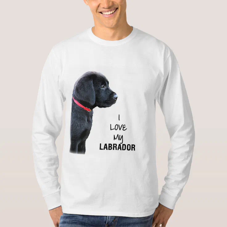 I Love Heart Labradors V-Neck T-Shirt 