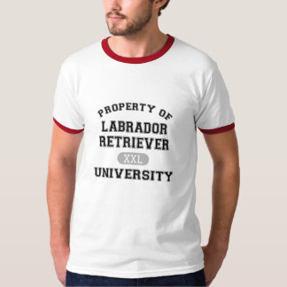 Property of Labrador Retriever University T-Shirt