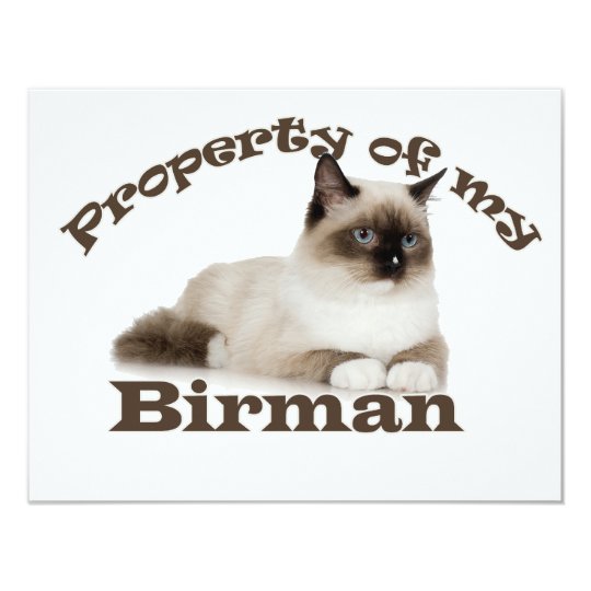 Property of My Birman Card