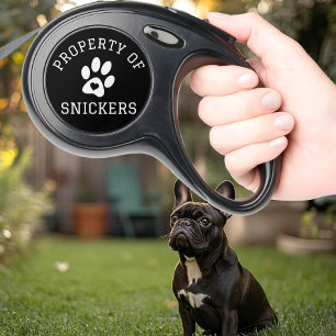 Property of Pet Dog Custom Name  Retractable Pet Leash