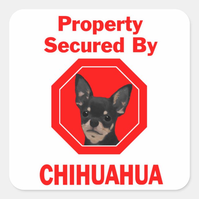 Property Secured by Chihuahua Square Sticker (Front)
