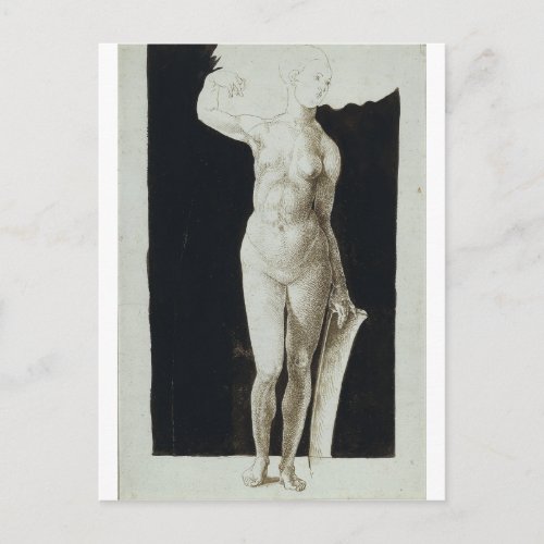 Proportion Study of Human Figure by Durer Postcard