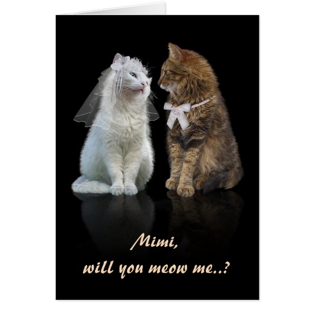 Proposal for Cat Lovers Cards (Front)