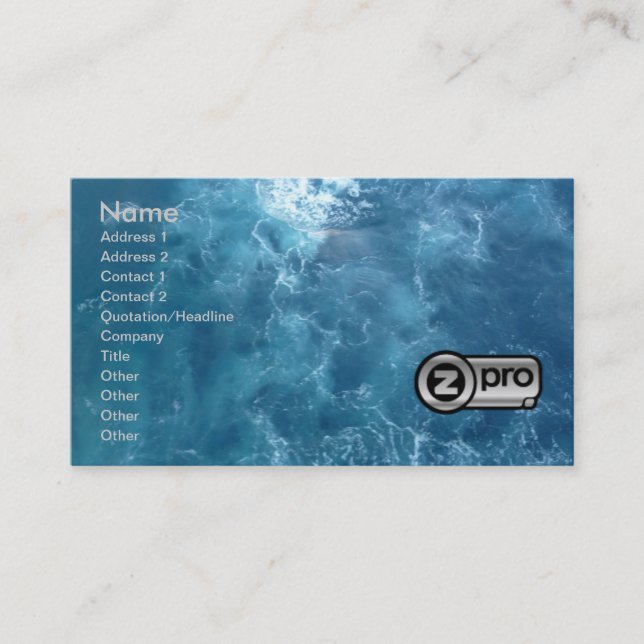 ProSeller Silver 2 Fine Art Business Card 3D (Front)