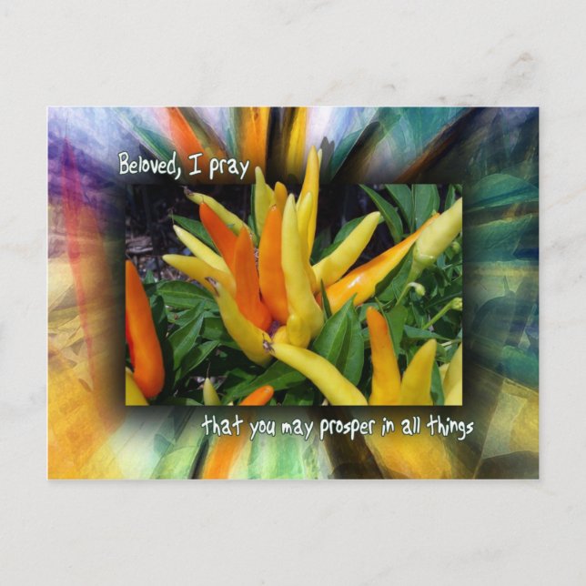 Prosper in All Things Postcard (Front)