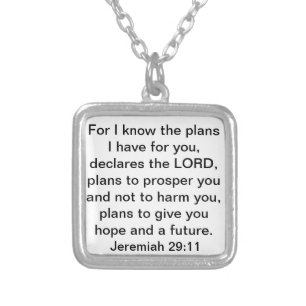 Prosper Jeremiah 29:11 bible verse Silver Plated Necklace