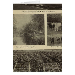 Prosperity, plenty in Oregon