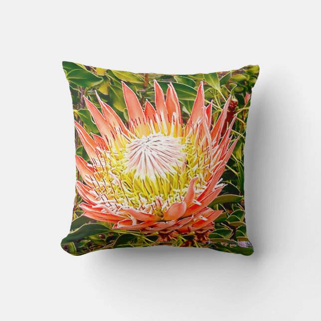 Protea Australian flower photography Throw Pillow (Front)
