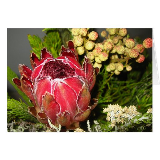 Protea Bouquet Cards (Front Horizontal)