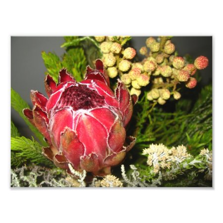 Protea Bouquet Photo Print