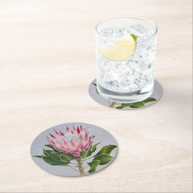 Protea Coaster