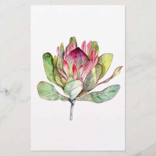 Protea Flower (Front)