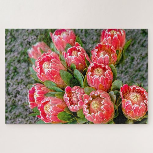 Protea flower bunch Red Baron wildflower photo Jigsaw Puzzle