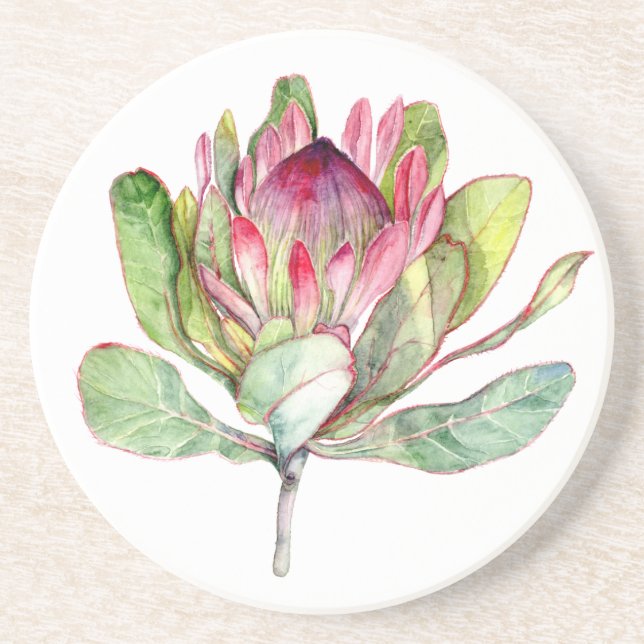 Protea Flower Drink Coaster (Front)