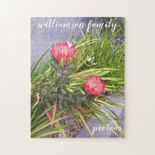 Protea Flower Family Name Jigsaw Puzzle