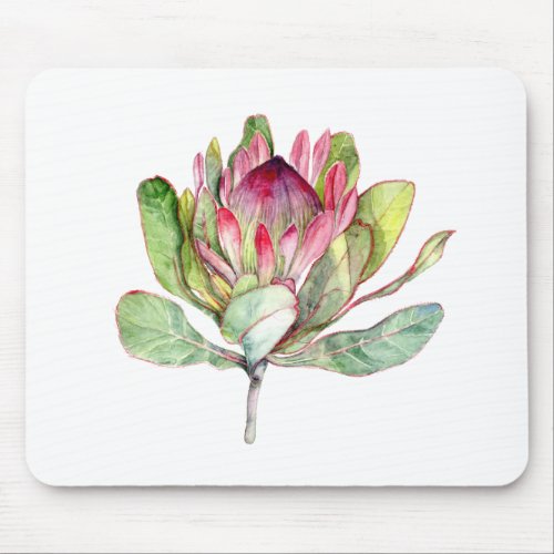 Protea Flower Mouse Pad