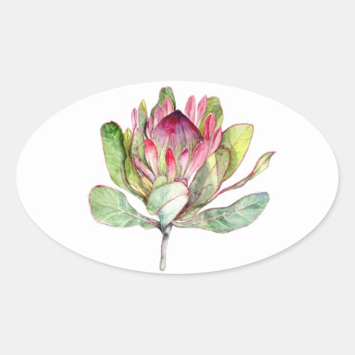 Protea Flower Oval Sticker
