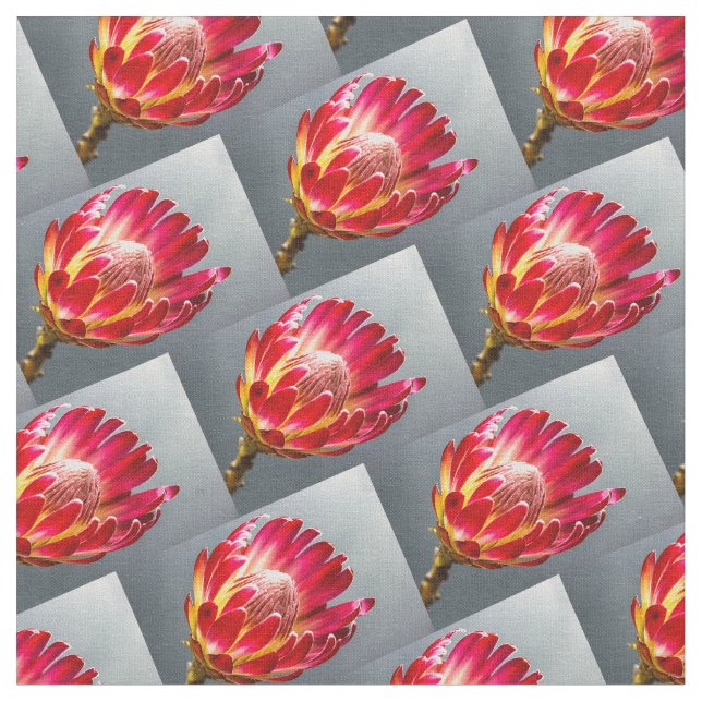 Protea flower photo pattern flora flower fabric (Close Up)