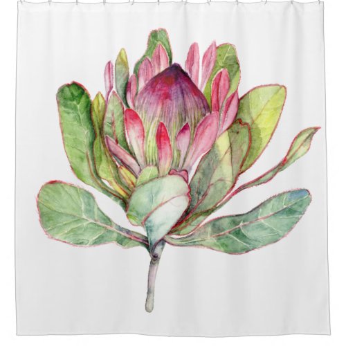 Protea Flower Shower Curtain